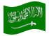 flagge-saudi-arabien-wehende-flagge-40x60